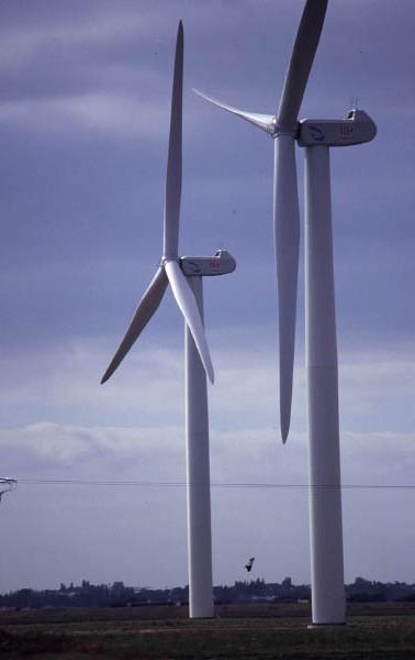 promenade en Vend�e