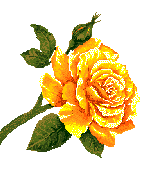 Phrase de SAMUEL JOHNSON