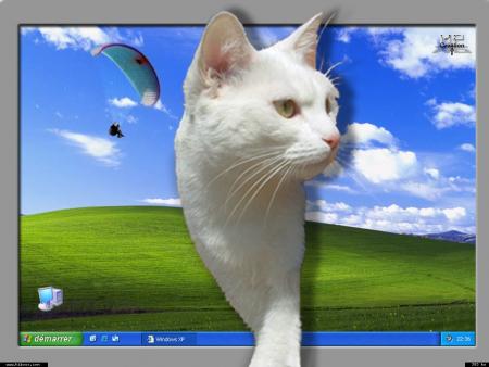 destin� a tous les amis et amies de cricri44