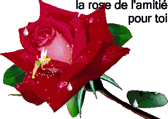 LA ROSE DE L'AMITIE